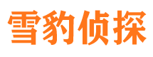 镶黄旗侦探公司